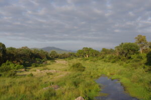 Connecting with nature is healing for the mind